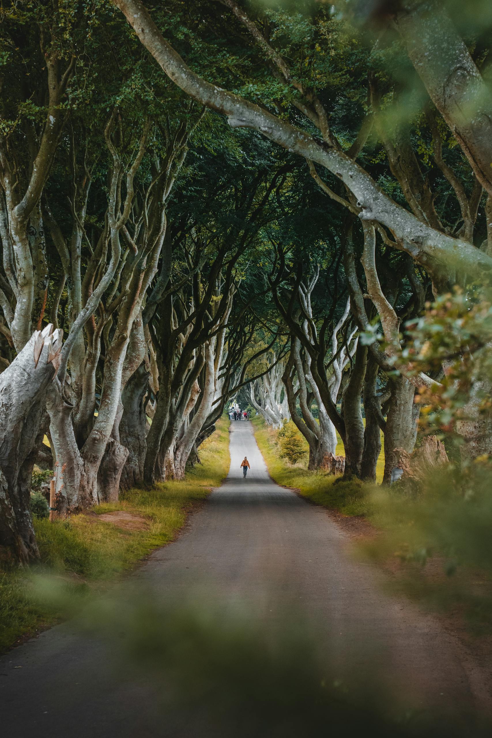 Ireland