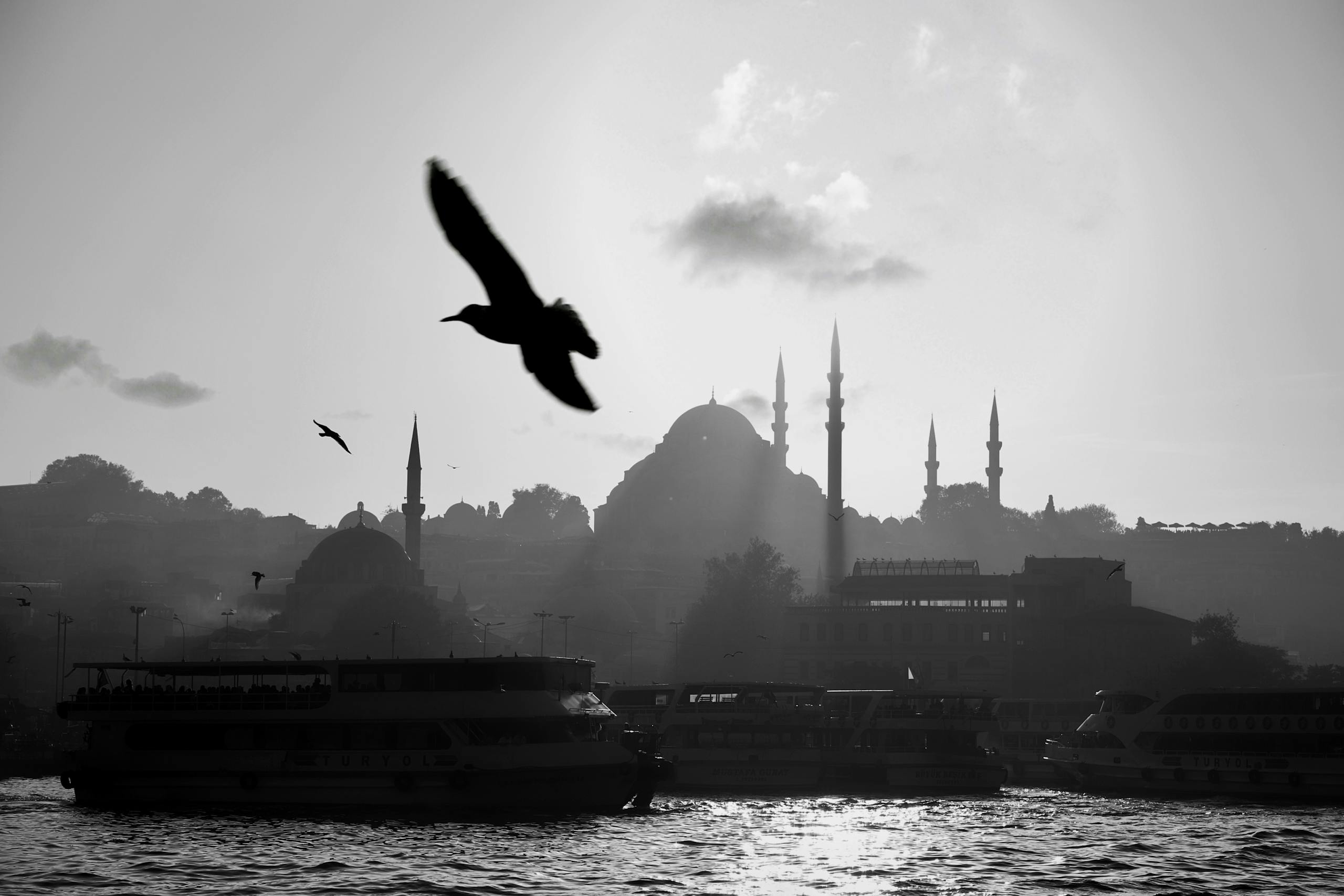 Turkey